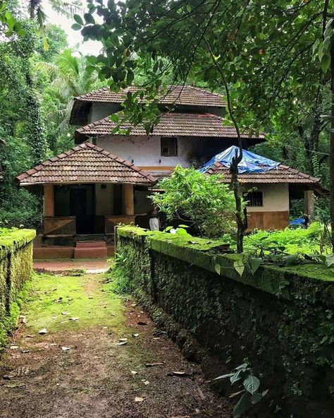 Kokan House, Kerala Landscape, Big Family Photo Shoot Ideas, Kerala Traditional House, Kerala Architecture, Modern Tropical House, House Design Exterior, Kerala House Design, Kerala Houses