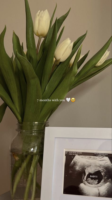 ultrasound / milestones / mom-to-be / baby coming soon / expecting / spring time / tulips / picture frames / simple / baby announcements /  inspo / ideas / pregnancy / document / keepsakes / memories / love / instagram story / captions / baby coming soon / counting down / welcome baby / adding to the family / growing Tulips Picture, Time Instagram Story, Instagram Story Captions, Love Instagram Story, Story Captions, Baby Coming Soon, Mommy Outfits, Easy Frame, Baby Announcements