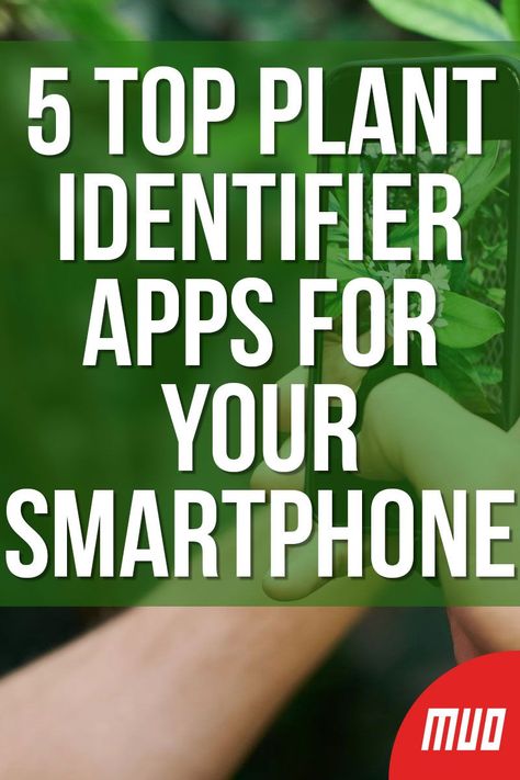 Plant Identifier App Free, Plant Identification App, Iphone Hack, Identify Plants, Plant App, Android Phone Hacks, Ipad Tips, Phone Hacks Iphone, Flower Identification