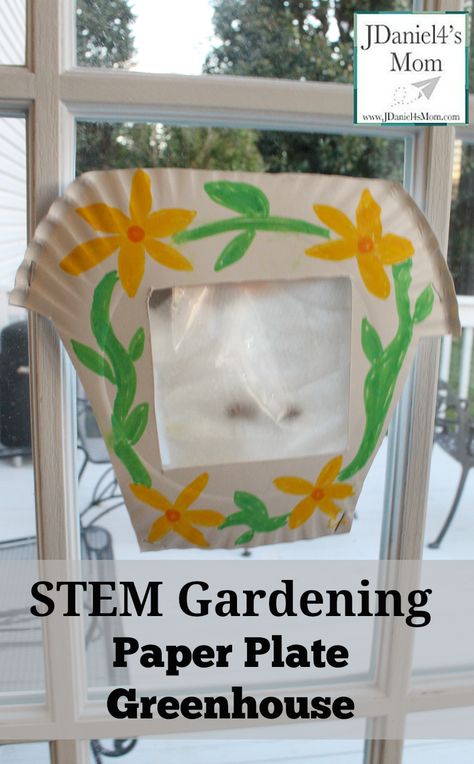 STEM Gardening Paper Plate Greenhouse Preschool Garden, Plant Activities, Garden Activities, Steam Activities, Paper Plate Crafts, School Garden, Stem Projects, Preschool Science, Learning Science