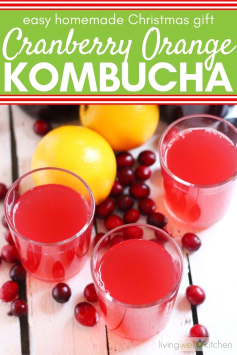 Kombucha Gift Ideas, Orange Kombucha, Kombucha Flavors Recipes, Cranberry Kombucha, Fermented Beverages, Making Kombucha, Kombucha Recipes, Cultured Vegetables, Diy Kombucha