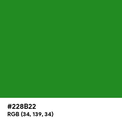 Forest Green color hex code is #228B22 Green Color Hex Code, Paint For Kitchen Walls, Split Complementary Colors, Green Web, Rgb Color Wheel, Rainbow Palette, Web Colors, Forest Green Color, Hex Codes