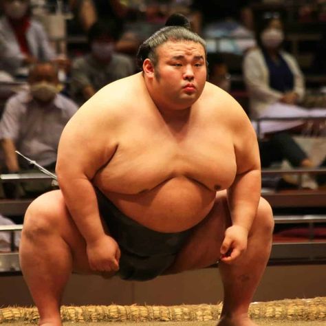 Japan Travel Destinations, Sumo Wrestler, Beautiful Art Pictures, Big Belly, Figure Poses, Big Men, Top Photo, Japan Travel, How To Stay Healthy