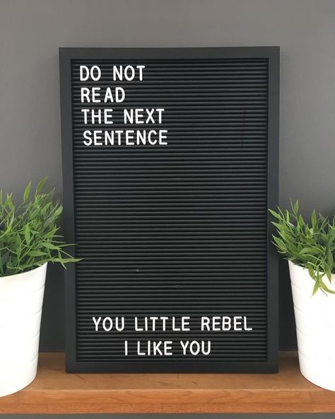 Funny Letter Board Quotes, Funny Letter Board, Letterboard Signs, Light Box Quotes, Letter Board Quotes, Message Board Quotes, Word Board, Felt Letter Board, Boxing Quotes