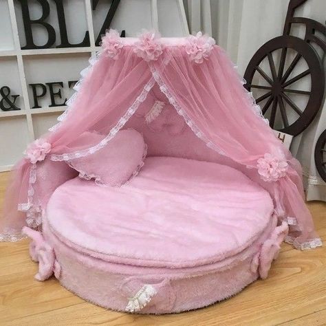 Princess Dog Bed, Princess Pet, Luxury Dog Kennels, Chien Shih Tzu, Puppy Room, Puppy Bed, Puppy Kennel, Small Puppy, Pet Spaces