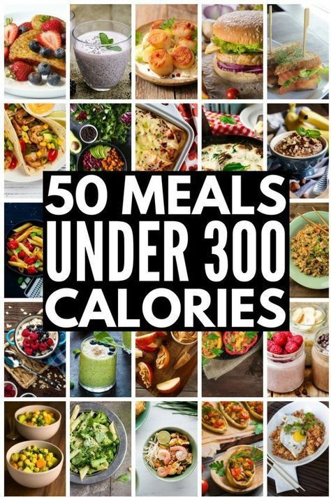 Meals Under 300 Calories, Filling Meals, 300 Calorie Meals, Lunch And Dinner Recipes, 500 Calorie, Under 300 Calories, Healthy Low Calorie Meals, Healthy Low Carb, Low Calorie Dinners