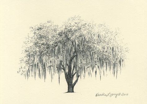 Savannah Live Oak Tree Pen and Ink Drawing Print - Hunter Army Airfield. The Ink Lab. Southern Live Oak Tree Tattoo, Live Oak Tree Tattoo, Tree Reference, Oak Tree Drawings, Live Oak Tree, Tree Tattoo Arm, Oak Tree Tattoo, Willow Tree Tattoos, Weeping Willow Tree