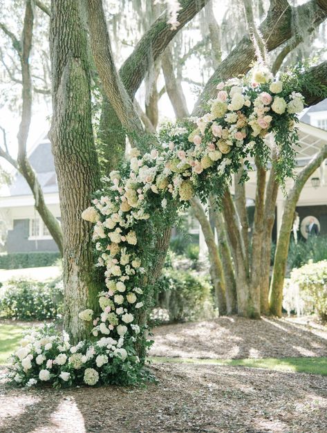 Imagine Getting Married Under a Floral Adorned Oak Tree #weddingdream #gettingmarried #floral #weddingflorals Oak Tree Wedding Ceremony, Tree Wedding Ceremony, Oak Tree Wedding, Mom Dresses, Wedding Flower Trends, Charleston Bride, Bride Floral, Floral Trends, Ceremony Seating