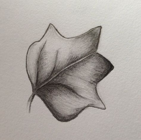 Tulip tree leaf sketch Leaf Shading Drawing, Leaf Sketches Simple, Leaf Sketch Pencil Simple, Leaves Shading Pencil, Nature Sketches Pencil, Carrot Drawing, Leaf Sketch, Village Scene Drawing, Nature Sketches