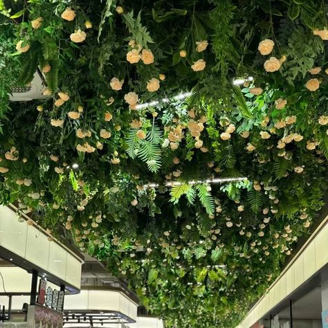 🌿💐🏡🍃A breathtaking oasis with our artificial flower ceiling decorations. Perfect for restaurants, indoor living rooms, and any area in need of a fresh, natural touch, these green plant and floral arrangements bring the outdoors in. Elevate your decor with vibrant, lush greenery and soft floral art that creates an inviting and serene atmosphere right above your head. Search Tags: #CeilingDecor #ArtificialFlowers #GreenPlantDecor #IndoorOasis #LivingRoomDecor #RestaurantDesign #CeilingArt #Flo... Greenery Ceiling, Ceiling Decorations, Flower Ceiling, Ceiling Art, Flowers Decoration, Soft Floral, Lush Greenery, Ceiling Decor, Green Plants