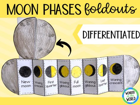 Moon Phase Project, Bird Life Cycle, Moon Phases Activities, Moon For Kids, Moon Science, Moon Unit, Moon Activities, Solar System Projects, Moon Projects