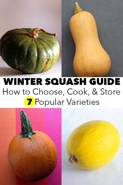 There are so many types of squash! This winter squash guide walks you through what you need to know about choosing, storing, and cooking common varieties. Different Types Of Squash Summer, How To Store Squash For Winter, Squash Varieties Chart, Squash Varieties Types Of, How To Cook Different Types Of Squash, Types Of Winter Squash, Pumpkin Varieties Chart, Types Of Squash Different, How To Cook Acorn Squash