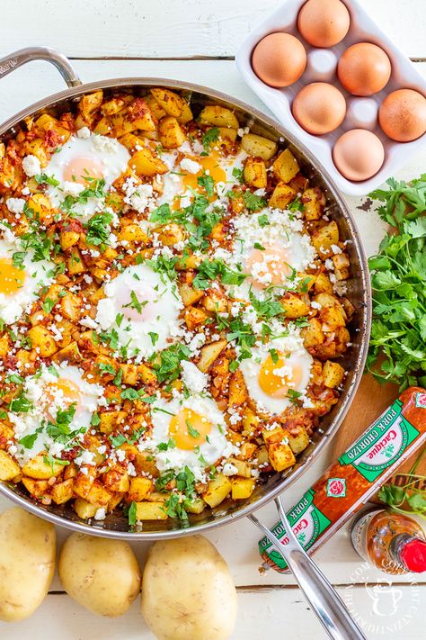 Chorizo Egg Scramble, Chorizo And Potatoes Breakfast, Breakfast Easy Recipes, Eggs And Chorizo, Breakfast Chorizo, Sweet Potato Chorizo, Potato Chorizo, Chorizo Hash, Chorizo Breakfast