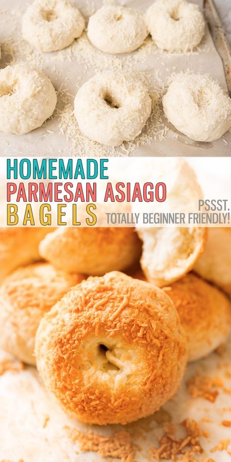 Easy Asiago Cheese Bagels are chewy, full of flavor and easy to make. Utilizing the Instant Pot makes this recipe FAST! Say goodbye to store-bought bagels, it's time to make them homemade! |Cooking with Karli| #asiago #bagel #bagelrecipe #easy #bagel #breakfastrecipe #homemade #easy Asiago Bagels Recipe Homemade, Homemade Asiago Bagels, Cheese Bagels Recipe Homemade, Homemade Cheese Bagels, Cheesy Bagel Recipe, Cooking With Karli Bagels, How To Make Bagels Homemade, Bagel Flavor Ideas, Asiago Cheese Bagel Recipe