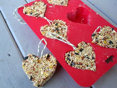 Natural Valentine's Day Kids Crafts Saint Valentin Diy, Valentines Bricolage, Bird Treats, Valentine's Day Crafts For Kids, Valentine Crafts For Kids, Diy Birds, Diy Valentine, Valentines Day Treats, Natural Diy