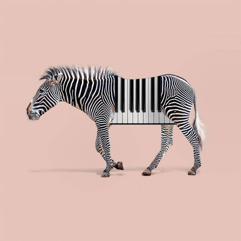 Amusing Animal Mashups by Les Créatonautes | Daily design inspiration for creatives | Inspiration Grid Animal Edits, Animal Mashups, Hybrid Art, Zebra Art, Weird Creatures, So Funny, Art Drawings For Kids, Creative Photos, Surreal Art