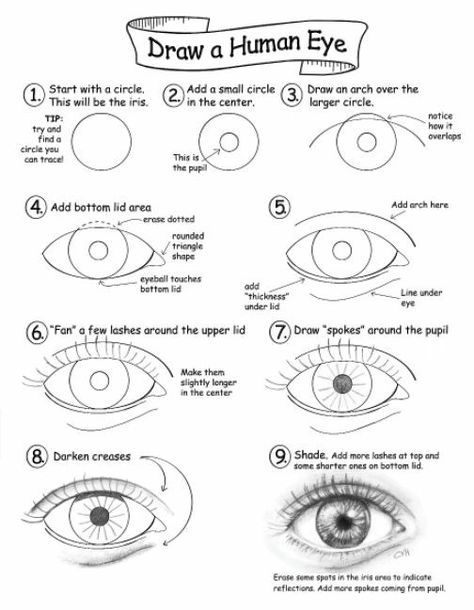 Human Eye Drawing, Draw An Eye, Easy Eye Drawing, Face Art Drawing, Pencil Drawings For Beginners, Pencil Drawing Tutorials, Eye Drawing Tutorials, Drawing Tutorial Face, Drawing Eyes