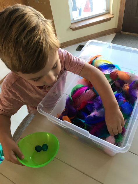 Feather Sensory Bin, Rainbow Sensory Bin, Rainbow Sensory, Colored Feathers, Coloured Feathers, Sensory Bin, Color Sorting, Sensory Bins, Sensory Activities