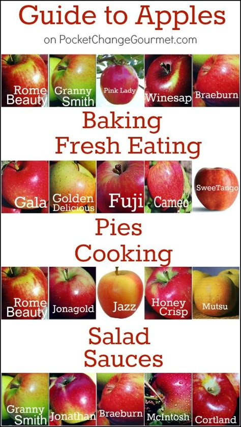 Twenty common apple varieties and the best ways to use them in baking, sauces, salads and pies. We have even done the research to find the best ones for eating. Apple Uses Chart, Apple Varieties Charts, Best Apples To Eat, What Apples To Use For Apple Pie, Best Apples For Pie Baking, Baking Apples Chart, What Apples Are Best For Baking, Winesap Apple Recipes, Best Apples For Pie