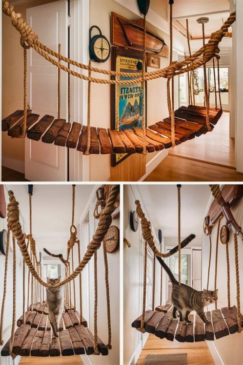 Diy Cat Jungle Gym, Cat Jungle Gym, Salmon Pate, Cat Litter Cabinet, Cat Bridge, Bridge Ideas, Outdoor Pet Enclosure, Cat Jungle, Niche Chat