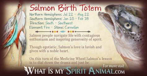 Is Salmon your Birth Totem? Read the in depth description in my Native American Zodiac & Astrology series! Learn Salmon's personality, compatibility, & more! Native American Astrology, Native American Zodiac, Animal Totem Spirit Guides, Native American Totem, Spirit Animal Meaning, Animal Reiki, American Quotes, Animal Spirit Guide, Animal Meanings