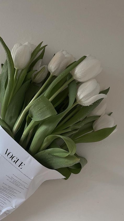 Clean White Wallpaper, Vintage Vision Board, Clean Phone Wallpaper, Opened Tulips, White Tulips Wallpaper, Simple Flower Aesthetic, Tulips Aesthetic Wallpaper, Clean Girl Wallpaper, Green Tulips