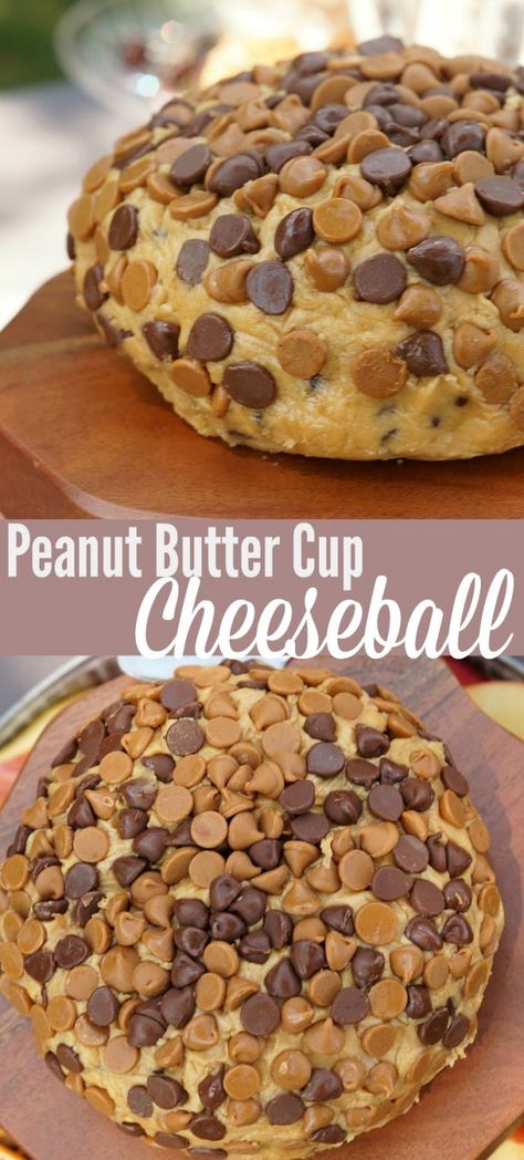 Peanut Butter Cheeseball, Sweet Cheeseball Recipes Desserts, Desert Cheeseball Recipes, Dessert Cheeseball Recipes, Sweet Cheeseball Recipes, Cheeseballs Recipes Easy, Peanut Butter Cheese Ball Recipe, Cheeseballs Recipes, Cheeseball Recipes Easy