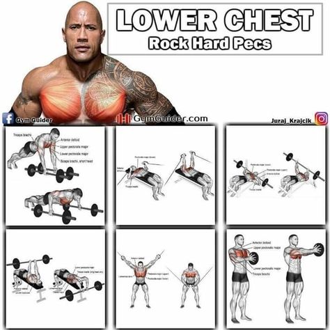 Lose body fat and get a supreme physique. This will get you the results that you need. http://showandgotraining.com/?hop=kevinhill Pec Workouts, The Rock Workout, Chest Workout For Men, Chest Workout Routine, Fitness Studio Training, Latihan Dada, Best Chest Workout, Weight Training Workouts, Workout Chart