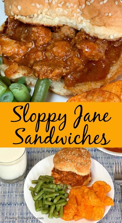 Sloppy Janes are an easy ground turkey recipe that is hearty and filling. Sloppy Janes are a lighter version of Sloppy Joes and full of flavor! Sloppy Jane Recipe, Sloppy Janes, Sloppy Jane, Epic Kitchen, Ground Turkey Recipe, Ohio Food, Great Sandwiches, Ground Turkey Chili, Ground Turkey Recipes Easy