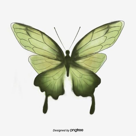 animal,blackish green,hand painted,insect,ink,butterfly,butterfly clipart,animal clipart,insect clipart Green Butterfly Painting, Green Butterfly Tattoo, Dark Green Butterfly, Butterfly Reference, Green Drawings, Ink Butterfly, Green Tattoo, Grey Gradient Background, Green Drawing