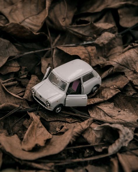 Diecast Photography Ideas, Gcse Photography, Birthday Room Decorations, Dominic Cooper, Miniature Photography, Toy Photography, Vintage Photoshoot, Miniature Cars, Floral Wallpaper Phone