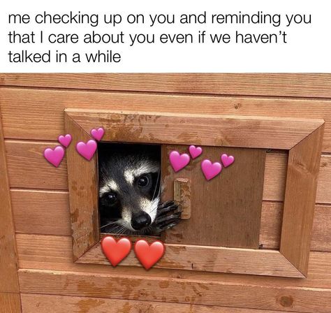 i love you still | /r/wholesomememes | Wholesome Memes | Know Your Meme Love You Meme, Wholesome Pictures, Love You Friend, Cute Love Memes, Crush Memes, Friend Memes, Cute Messages, Wholesome Memes, Love Memes