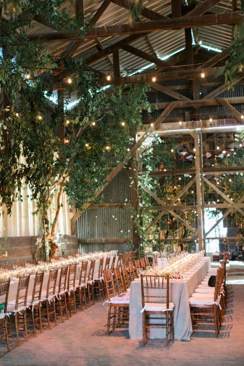 Rustic converted barn into a wedding reception: http://www.stylemepretty.com/2016/10/04/converted-barn-wedding-reception/ Photography: Caroline Tran - http://carolinetran.net/ Enchanted Wedding Reception, Airbnb Inspiration, Shed Wedding, Wedding Chapels, Jungle Wedding, Barn Wedding Reception, Wedding Reception Photography, Wedding Diary, Converted Barn