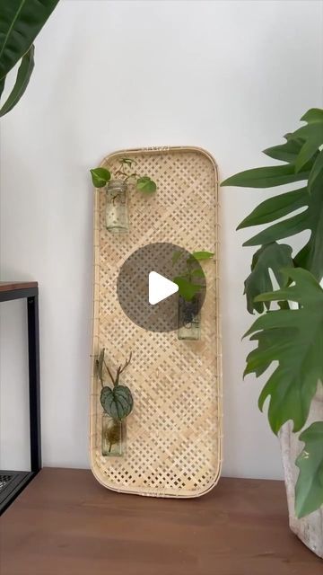 Ideal Home on Instagram: "Looking to make a feature and keep your propagated plants on display? @menawox has the perfect cheap & easy @ikea hack to try 

#idealhome #ikeahack #planthack #plantingtips" Ikea Plant Hacks, Propagated Plants, Ikea Plant, Ikea Plants, Easy Ikea Hack, Plant Hacks, Ikea Hack, On Display, Ideal Home