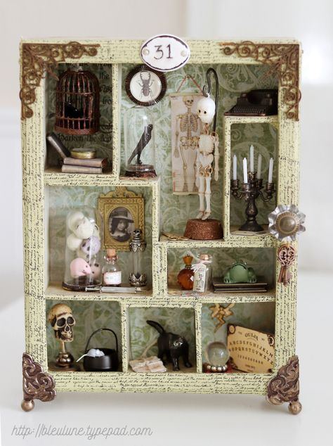 Cabinet Of Curiosities Clay, Small Cabinet Of Curiosities, Box Of Curiosities, Diy Curiosity Cabinet, Diy Cabinet Of Curiosities, Cabinet Of Curiosities Miniature, Cabnit Of Curiosities, Mini Cabinet Of Curiosities, Curiosity Cabinet Diy