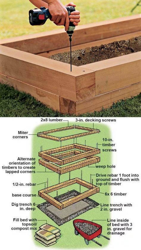 Raised Bed Garden Ideas, Bed Garden Ideas, Raised Garden Beds Diy Vegetables, Box Planters, Garden Bed Layout, Raised Bed Garden, Building Raised Garden Beds, Building A Raised Garden, Garden Planter Boxes