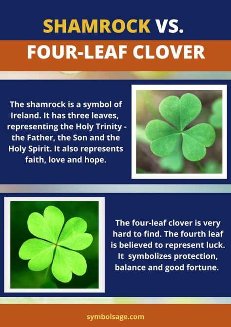 Differences between shamrock and four-leaf clover. Clover Symbol Meaning, Irish Symbols And Meanings, Mind Workout, Clover Meaning, Clover Symbol, Wiccan Quotes, Magical Symbols, Clover Plant, Irish Symbols