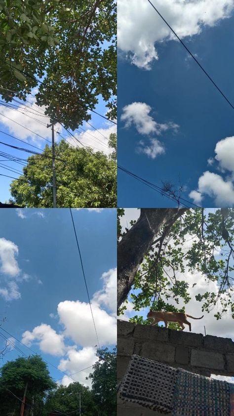 Sunny Day Instagram Story, Sunny Days Aesthetic, Season Aesthetic, Instagram Photo Ideas Posts, Creative Instagram Stories, Cloudy Day, Sky Aesthetic, Sunny Day, Sunny Days