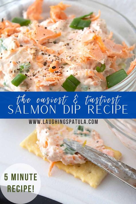 This recipe is simple and comes together in only a couple minutes. It's the perfect appetizer for any season. Baked Salmon Appetizer, Hot Salmon Dip Recipes, Salmon Appetizers Easy, Salmon Dip Recipes Easy, Easy Salmon Dip, Salmon Dip Cream Cheese, Appetizer Meals, Dietary Recipes, Fish Appetizers