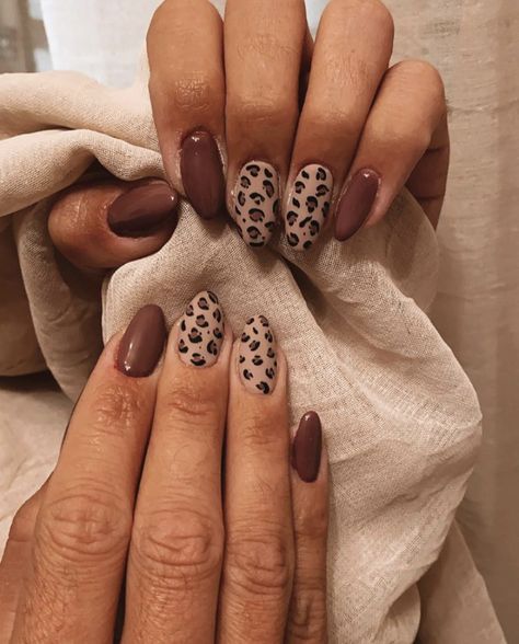 Brown Nails Leopard, Neutral Nails Trendy, Fall Cute Nails Ideas, Fall Nails Each Nail Different Color, Autumn Nails Leopard Print, Brown And Leopard Nails, Autumn Leopard Nails, Fall Nails Leopard Print, Fall Lepord Nails