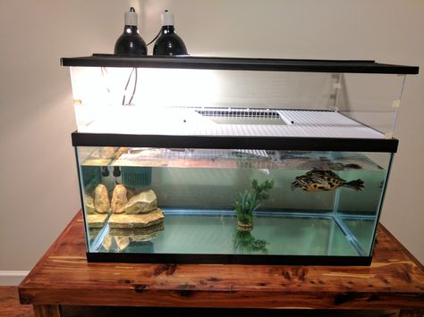 Turtle aquarium with home made basking platform using egg crate, zip ties, and plexiglass. Turtle Tank Diy, Turtle Setup, Aquatic Turtle Habitat, Red Ear Turtle, Aquatic Turtle Tank, Turtle Tank Setup, Diy Turtle, Turtle Enclosure, Turtle Basking Platform