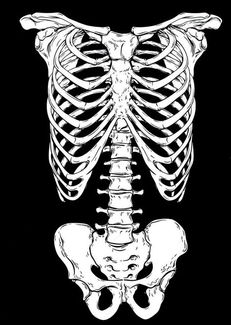 Skeleton Drawing, Skeleton Drawings, Graphic Shirt Design, Skeleton Design, Bleach Art, Funny Phone Wallpaper, Sketch Inspiration, Flash Art, Anatomy Art