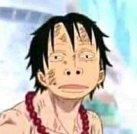 Luffy Funny, Low Quality One Piece, One Piece Meme, The One Piece Is Real, One Piece Is Real, Portgas D Ace, One Piece Funny, One Piece Pictures, One Piece Luffy