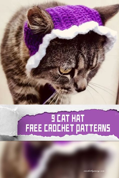 These Cat Hat FREE Crochet Patterns and adorable designs that allow crafters to fashion feline-inspired headwear for their beloved pets #freecrochetpatterns Cat Hat Pattern, Cat Santa Hat, Santa Hat Pattern, Crochet Santa Hat, Chat Diy, Crochet Cat Hat, Santa Cat, Hat Patterns Free, Crochet Santa