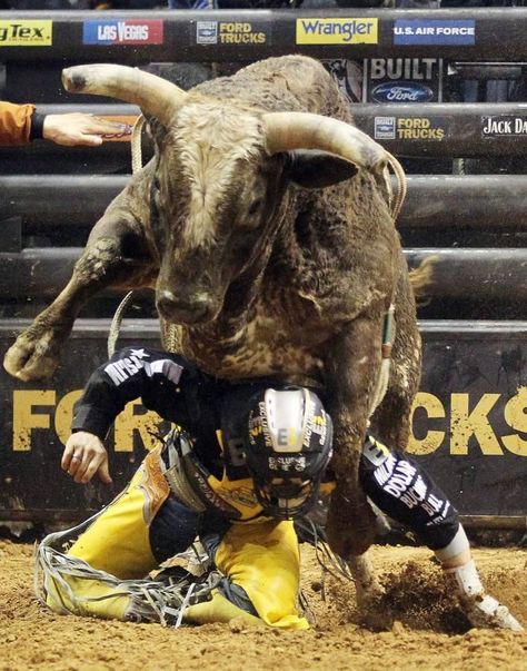 Pbr Bull Riders, Pbr Bull Riding, Bucking Bulls, Bronc Riding, Professional Bull Riders, Rodeo Time, Rodeo Events, Rodeo Cowboys, Bull Cow