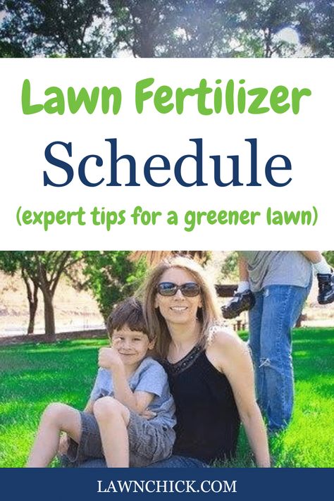 We all know we have to fertilize our lawns if we want them to be green and beautiful. However, it's crucial to know the right times to give your lawns that extra nutrition. In this blog post, we provide the lawn fertilizer schedule information you've been looking for. We take you through the most common recommendations for when you should use fertilizer on your turfgrass. Plus, you'll learn what you should look for when buying a lawn fertilizer, and more. When To Fertilize Lawn, Lawn Fertilizer Schedule, Lawn Food, Lawn Fertilizer, Tips To Save Money, Healthy Lawn, Detailed Plans, Green Lawn, The Keys