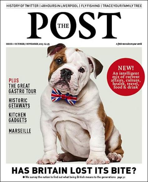 Pet Magazine Layout, Pet Magazine Cover, Dog Magazine Layout, Dog Magazine Cover, Perspective Grid, Pet Magazine, Animal Infographic, Animal Magazines, Magazine Cover Ideas