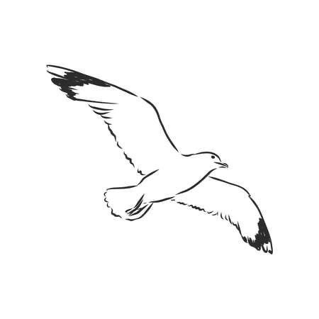 Flying Seagull Drawing, Simple Seagull Drawing, Flying Seagull Tattoo, Seagull Line Drawing, Simple Seagull Tattoo, Seagull Tattoo Design, Small Seagull Tattoo, Sea Gull Tattoo, Seabird Tattoo