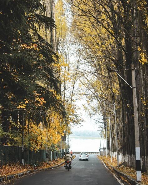 #Boulevard #Kashmir #SXR #Srinagar #Autumn Srinagar Autumn, Ooty India Photography, Kashmir Photos, Photography Autumn, Kashmir India, India Photography, Kurti Designs Latest, Dp For Whatsapp, Ooty