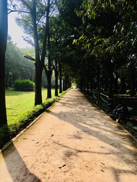 This is a picture from Cubbon park, Bangalore Cubbon Park Bangalore Aesthetic, Cubbon Park Bangalore, Park Snap, Bengaluru City, Cubbon Park, Marketing Banner, Nandi Hills, Bangalore City, Bokeh Photography